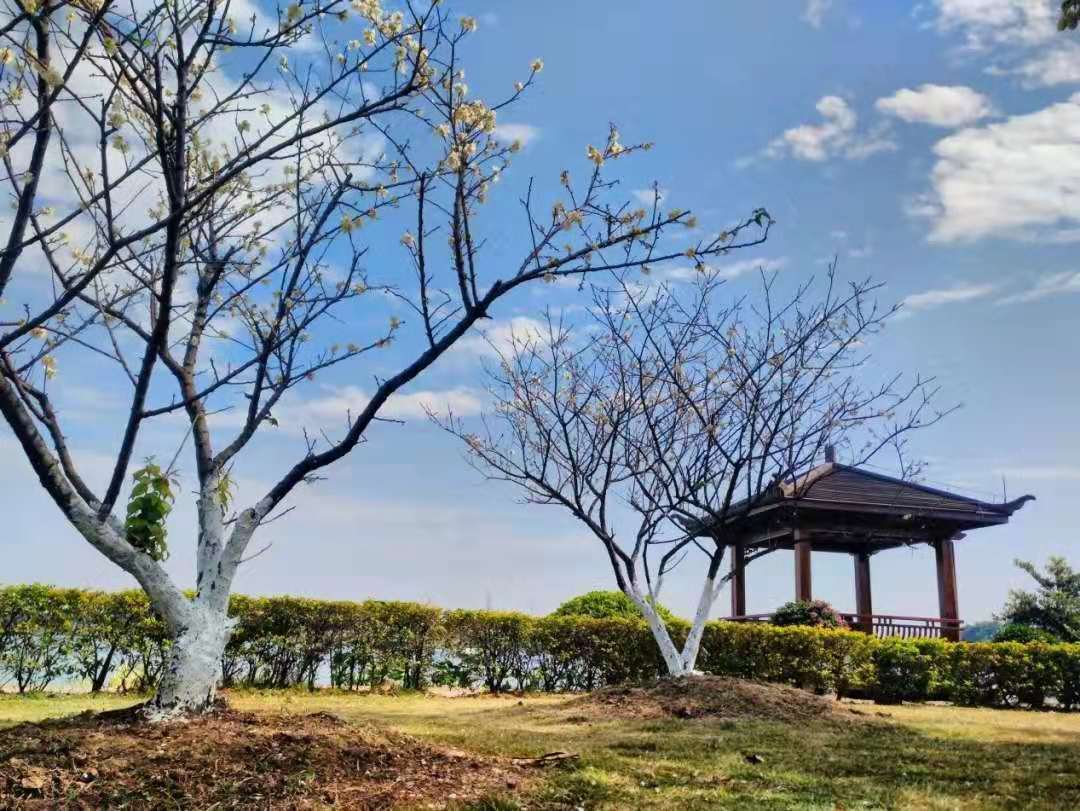 广州白云公园室内游乐场,广州白云区户外儿童乐园