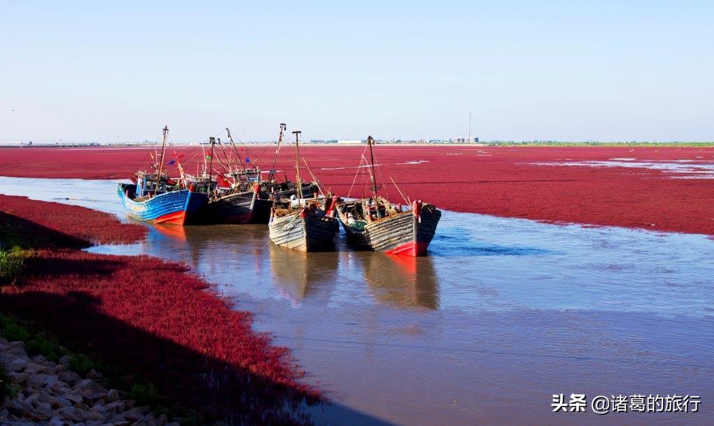 盘锦红色海滩美景,这个秋天一定要去海边看看