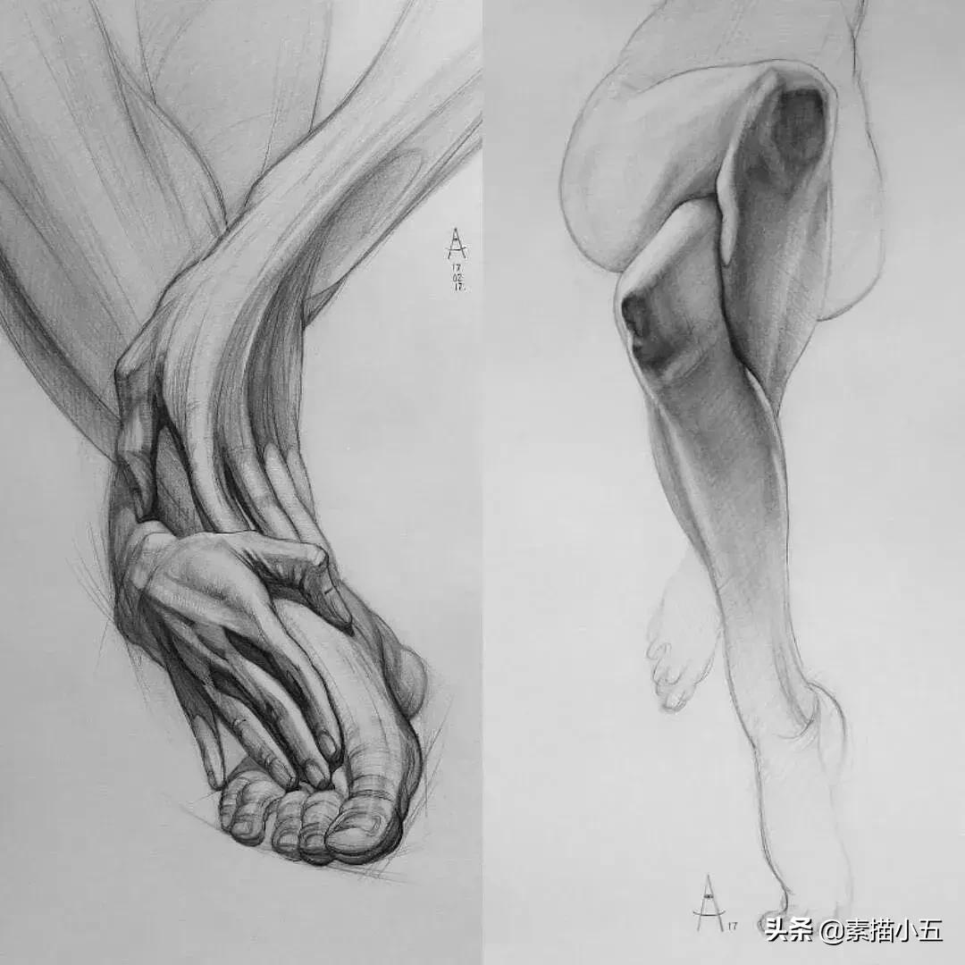 他画的素描无与伦比,他画的画栩栩如生让人拍案叫绝