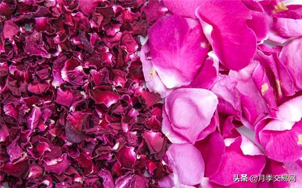 食用玫瑰是重瓣玫瑰吗,食用玫瑰花怎么辨别