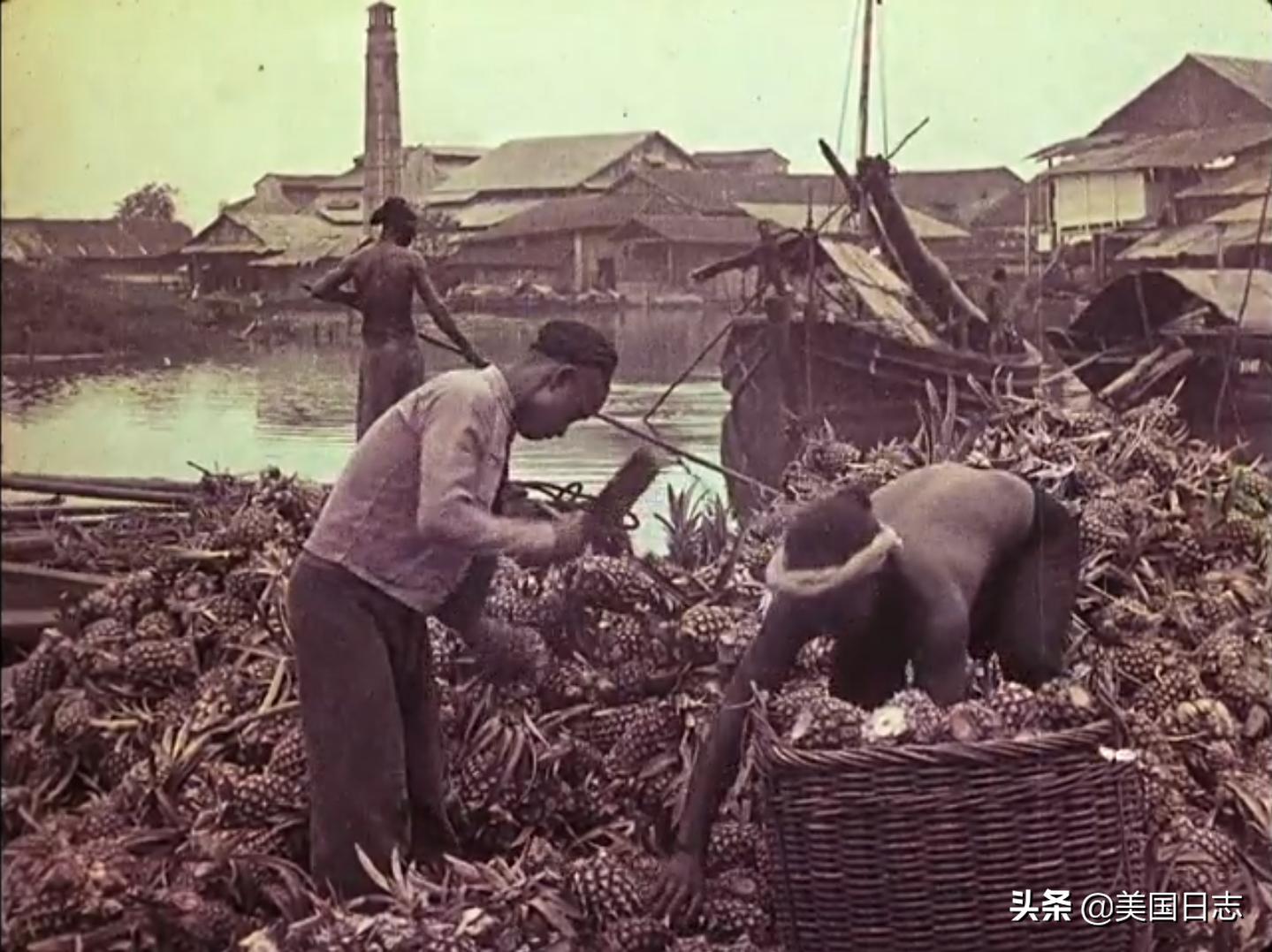 2017年新加坡生活,记录一下在新加坡的日子