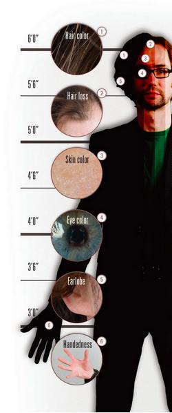 dna破案原理动画,dna破案经典集合