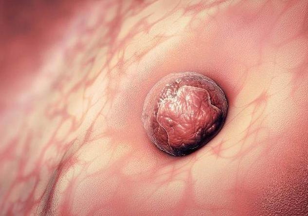 排卵一周后,若你出现这两个感觉,恭喜你,要当妈妈了