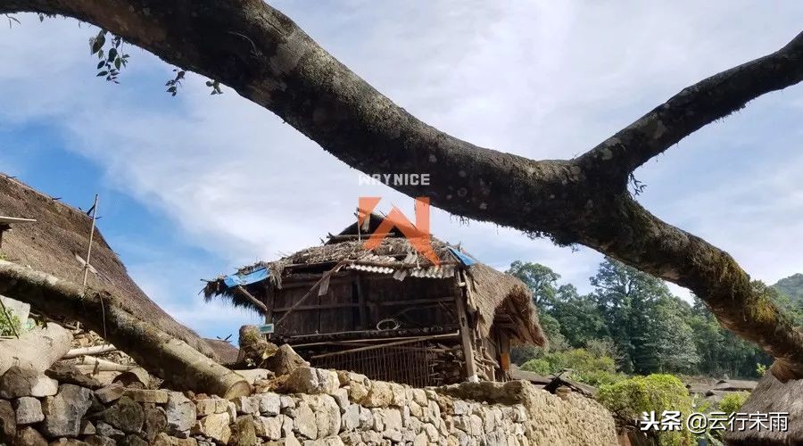 八天七夜云南旅游,八天七夜旅游云南