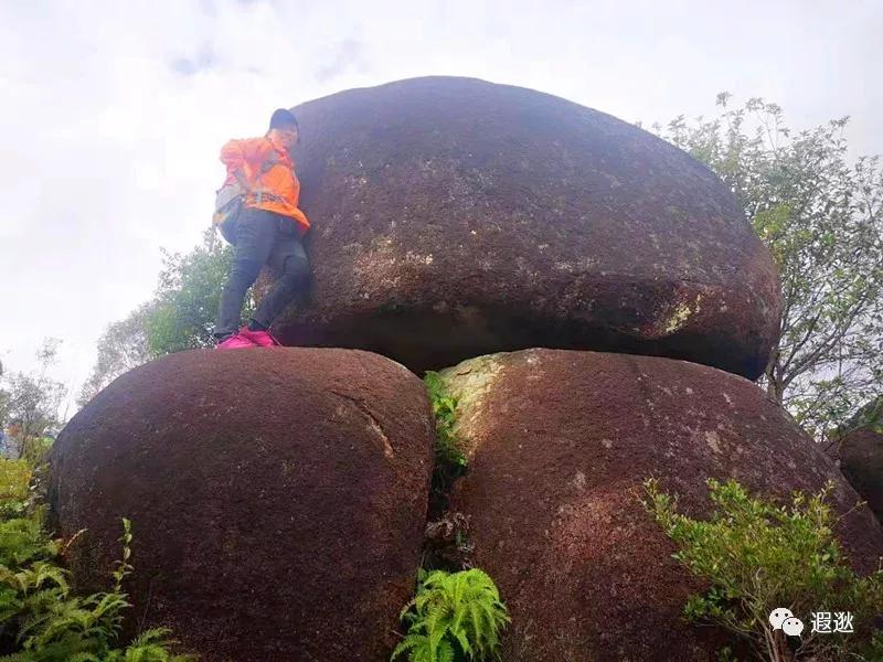 温州居然有这么美的小众景点,温州青龙山风景区在哪里