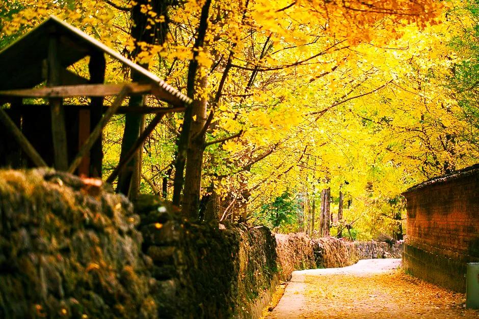 腾冲陇川客运班车,腾冲陇川航线