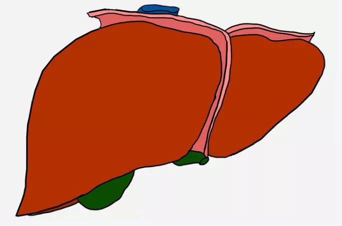 十年前得肝内胆管结石,腹部b超能查出胆总管囊肿