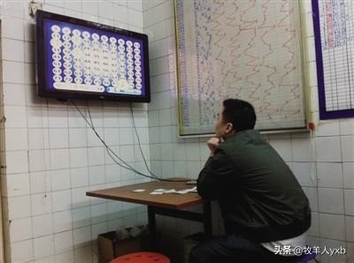 端正态度摆正心态,理性购彩的感悟