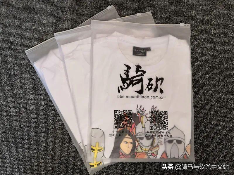 骑马与砍杀发展历程,骑马与砍杀中国最强阵营