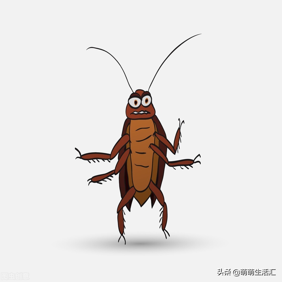 家里一到晚上好多蟑螂,家里有很多蟑螂怎么办能除根