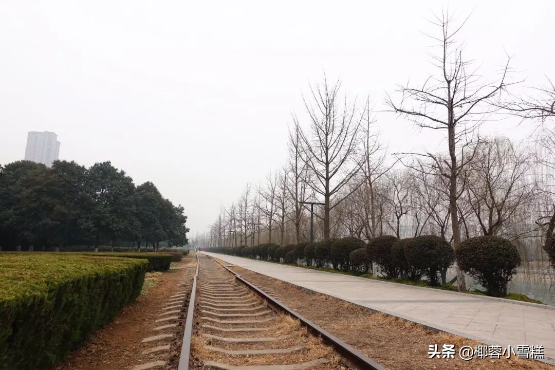 郑州适合晨跑的地方,郑州晨跑圣地