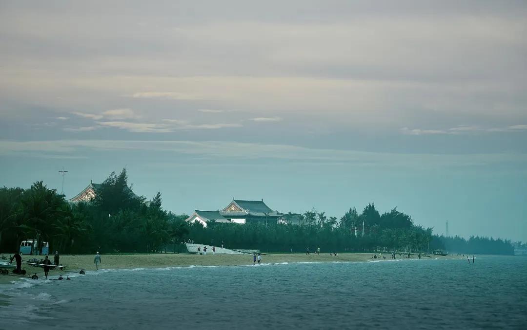 津门网向杰：盈滨半岛夕阳红