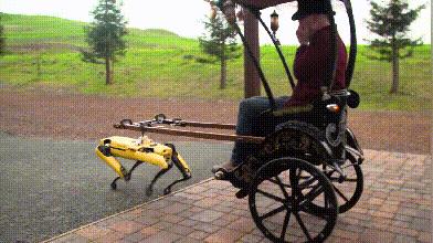 外国人研究四足机器人,国内四足仿生机器人研究现状