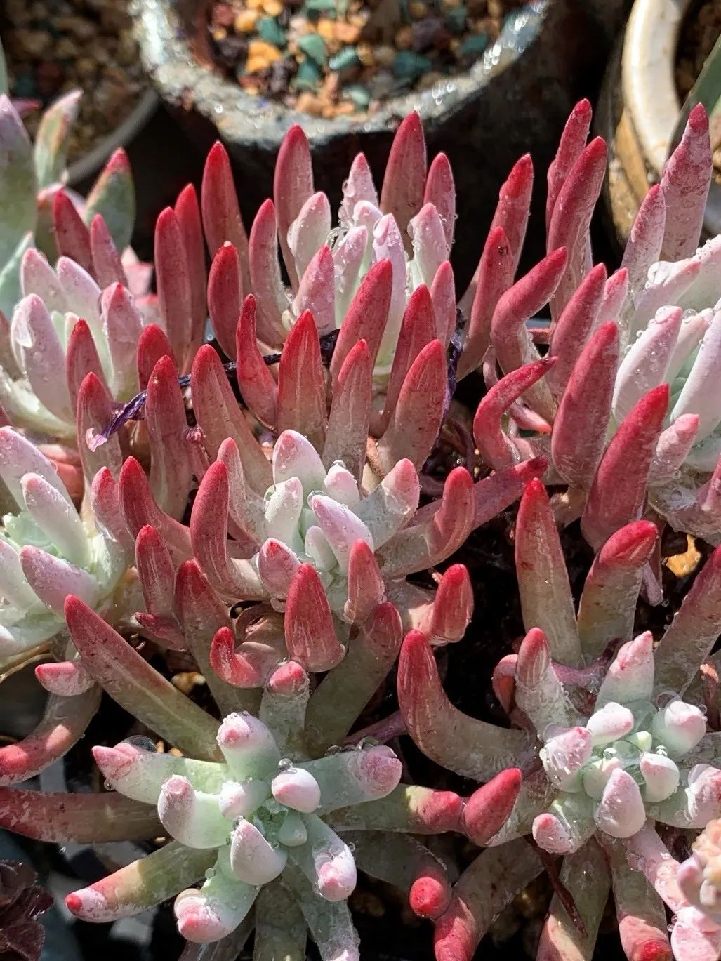 禁足的日子收获颇多,禁足