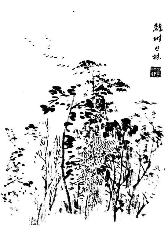 树的画法与表现技巧,树简单素描画