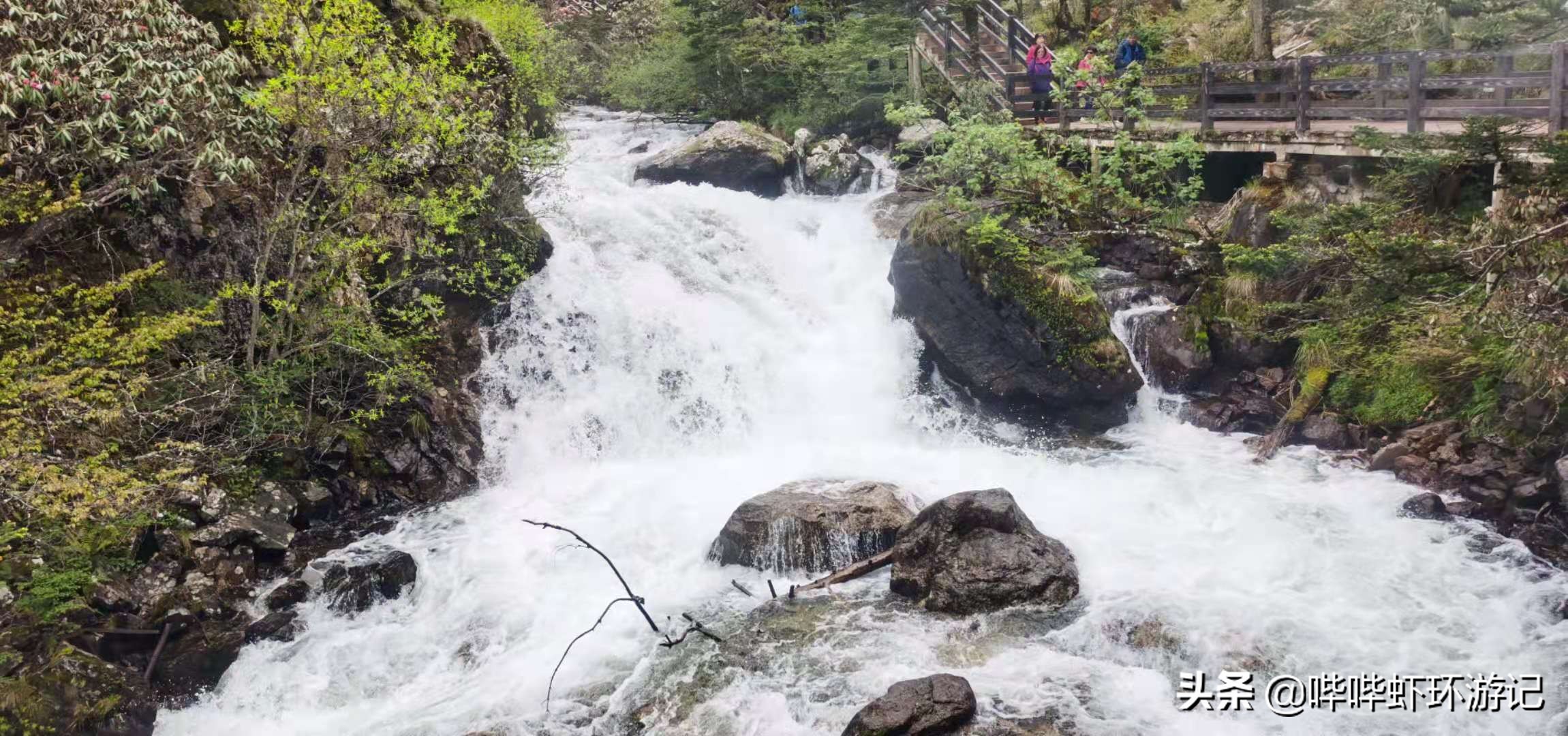 *藏西**行:我们翻越了这座高山后,我出现了头痛、想吐,怎么解决?