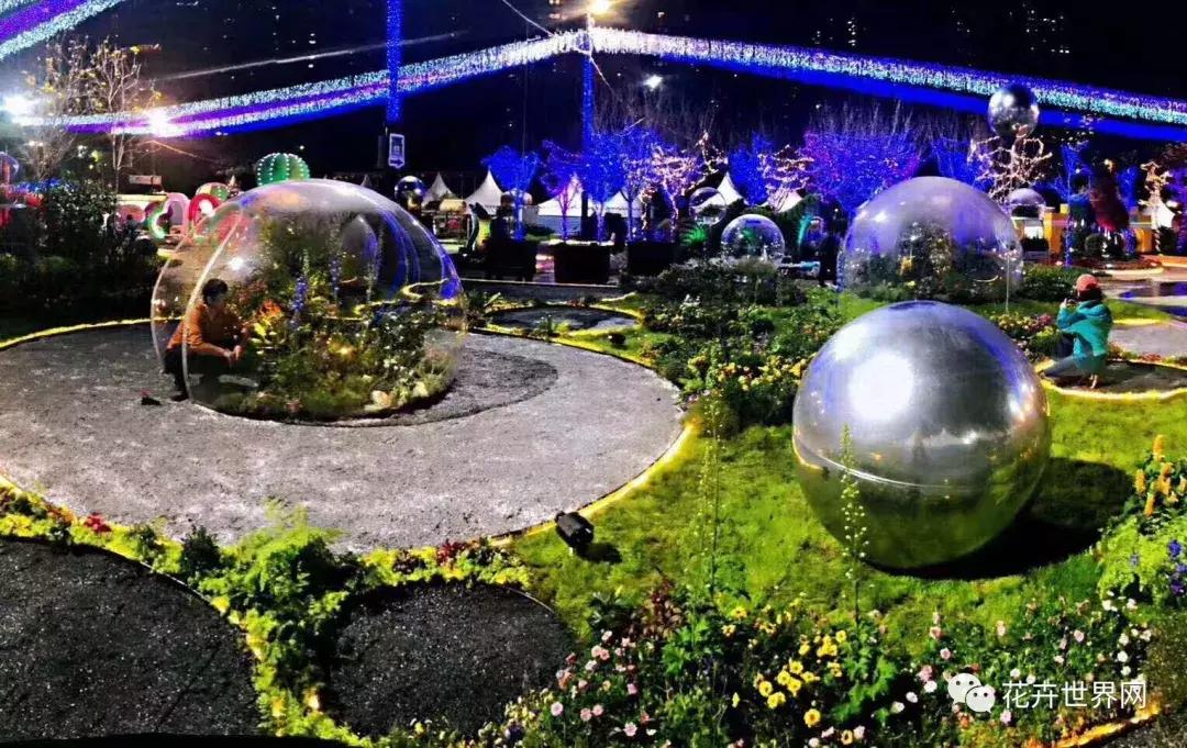 共赴盛会活动,香港国际花卉展