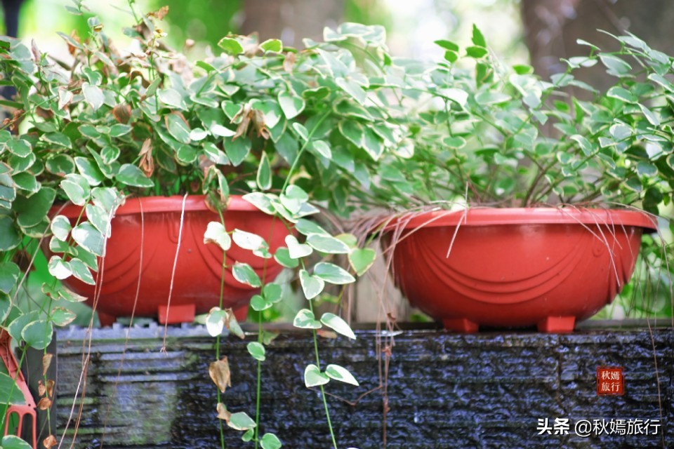 常熟有没有优雅一点的西餐厅,常熟新开网红餐厅