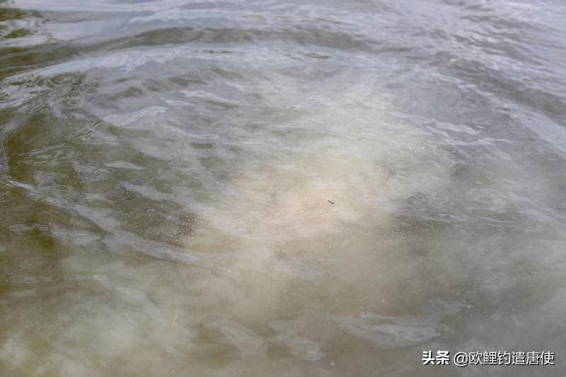 拉饵压几目浮漂好,怎样从浮漂判断饵的状态