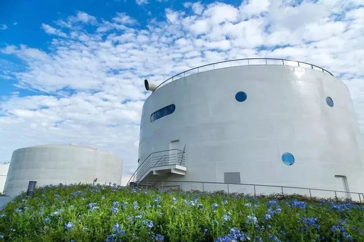 上海休闲娱乐好去处可以呆一整天,上海十大免费玩的地方