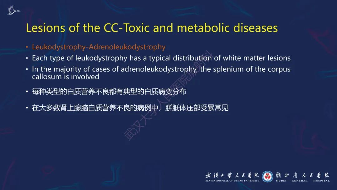 胼胝体肿瘤影像鉴别,胼胝体病变影像诊断