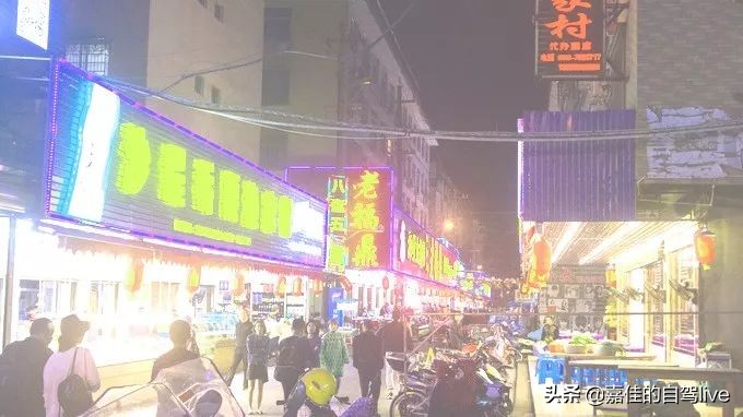 福鼎一日游学生攻略,福鼎两日自由行攻略