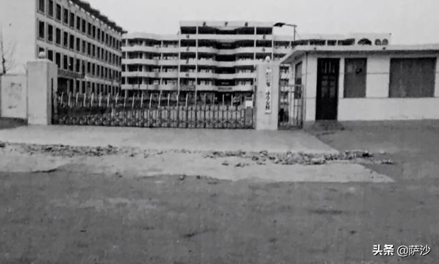 张志超杀人案真凶到底是谁,张志超杀人案到底谁杀了人