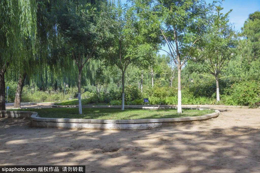 绿皮火车公园打卡景点,各种各样的免费公园