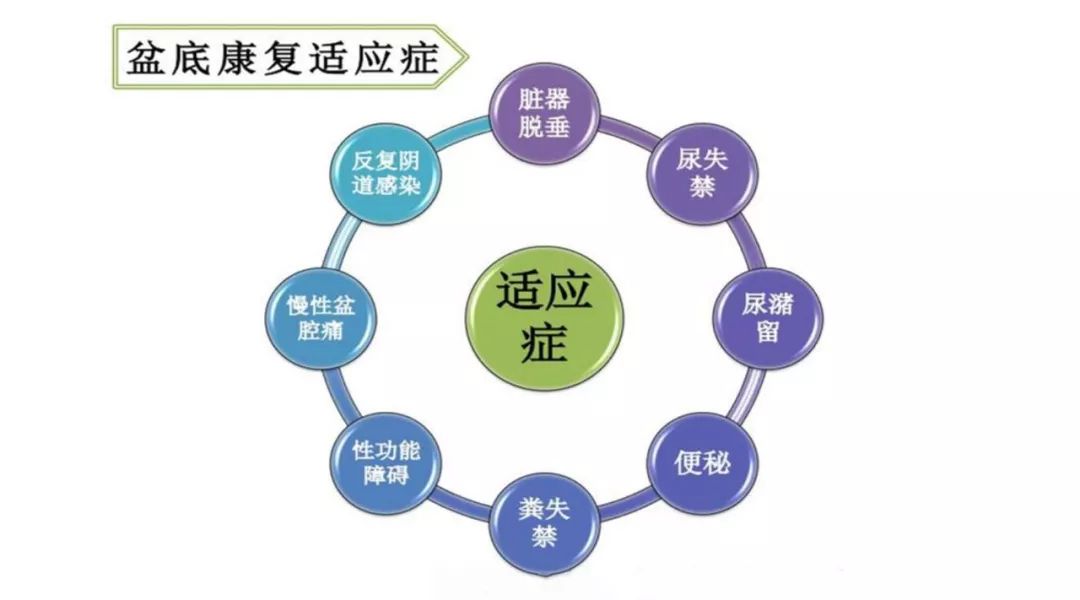 「盆底健康」重视盆底健康，笑迎安逸生活