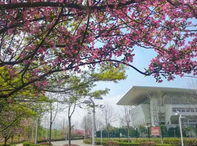 21考研择校:南京师范大学