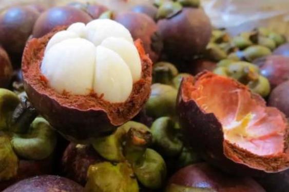 山竹太硬怎么剥山竹,山竹应该怎么剥有什么小妙招