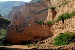 陕西咸阳是什么地区,关于陕西咸阳最简单的介绍