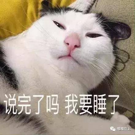 火焰布偶猫,布偶猫简介英文版