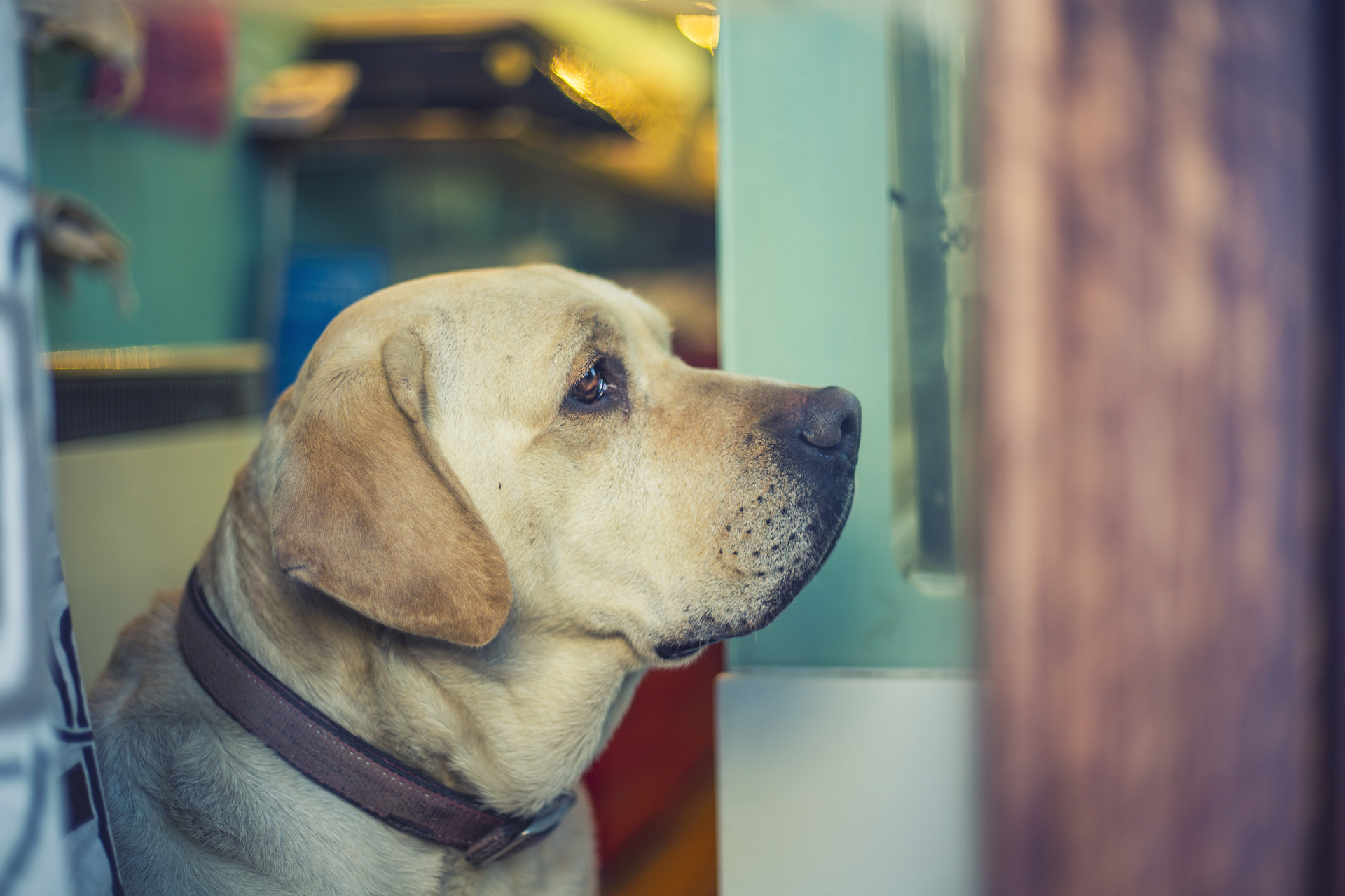 对待厌学的小知识,与厌学孩子的心理对话