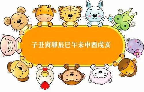 十二生肖排序2019年属什么的,十二生肖排序表2021年属什么生肖