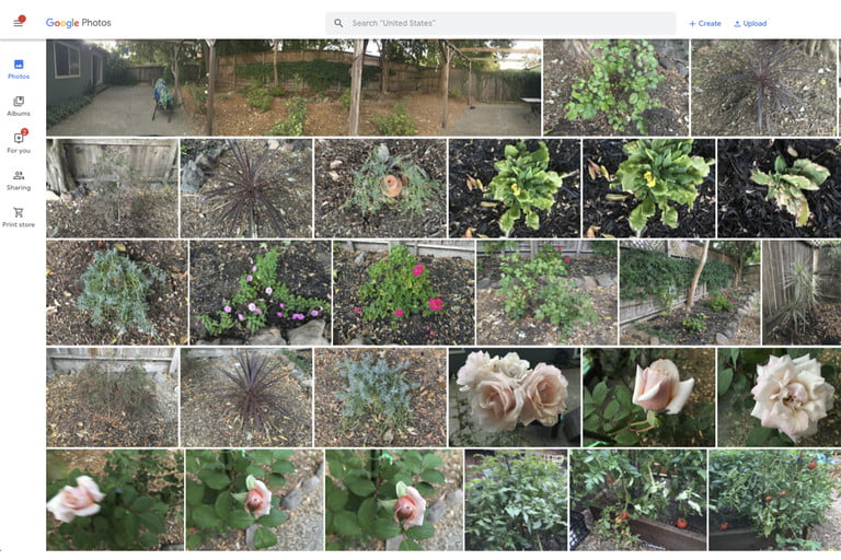 全部删除苹果手机所有照片和视频,iphone自带相机删除了怎么恢复