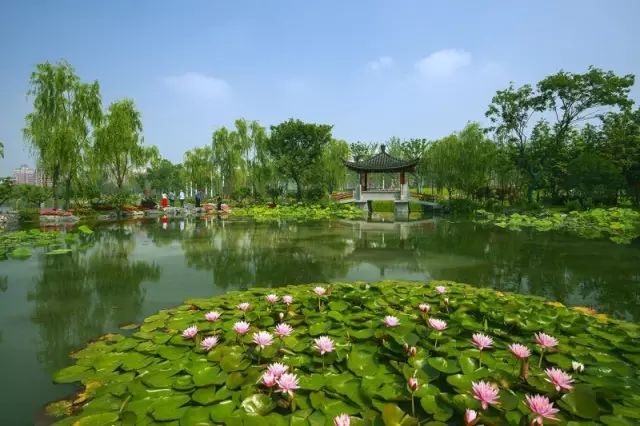 武汉人为什么离不开热干面呢,武汉人离不开的热干面