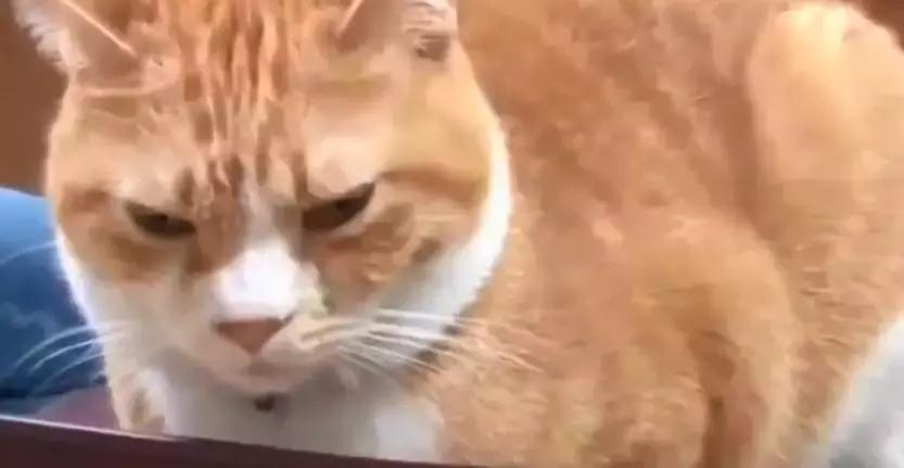 日元大幅贬值怎么买日货,日元贬值期间日本人民怎么度过