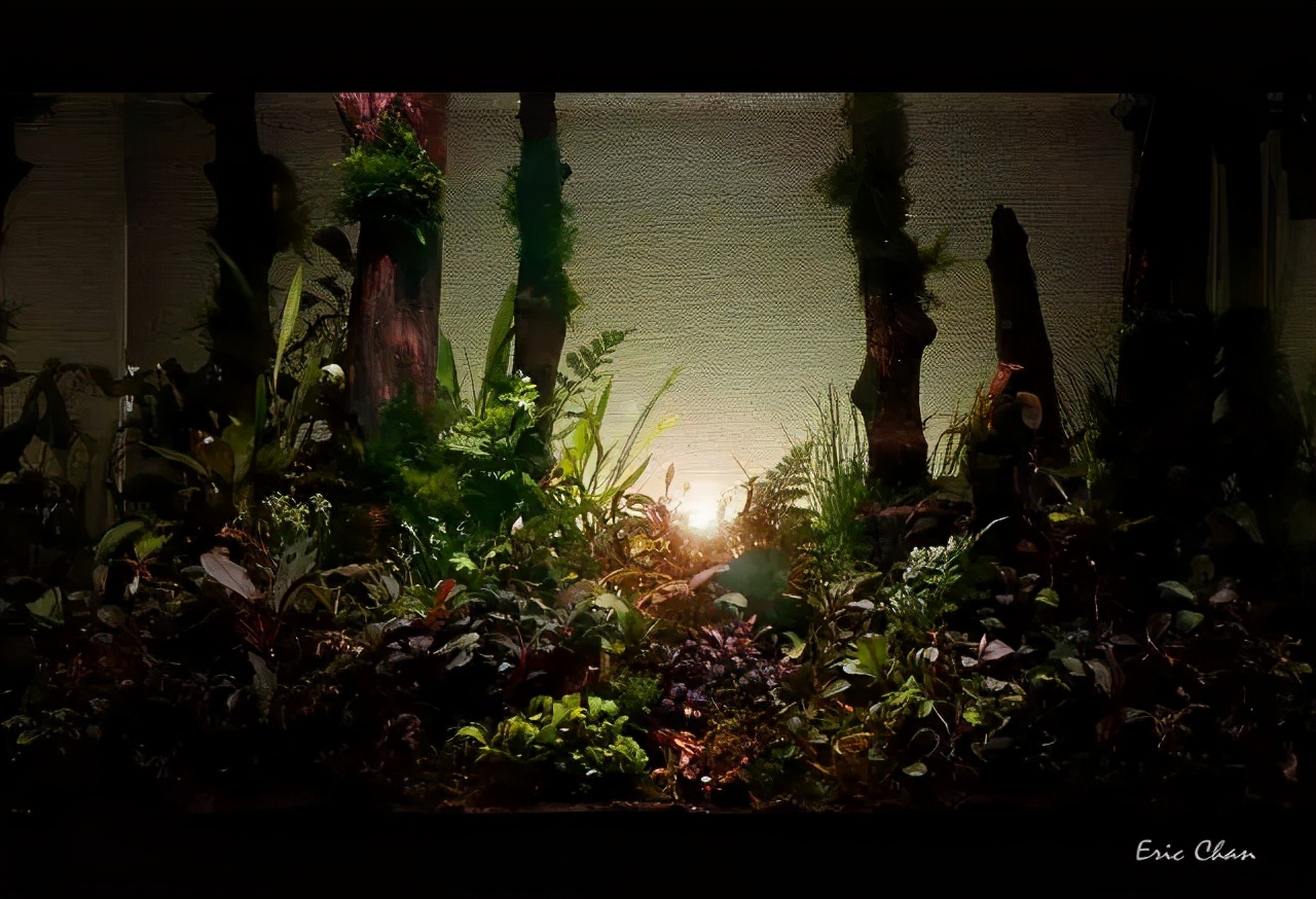 卡佩特k5辣椒榕为什么这么贵,辣椒榕k5为什么贵