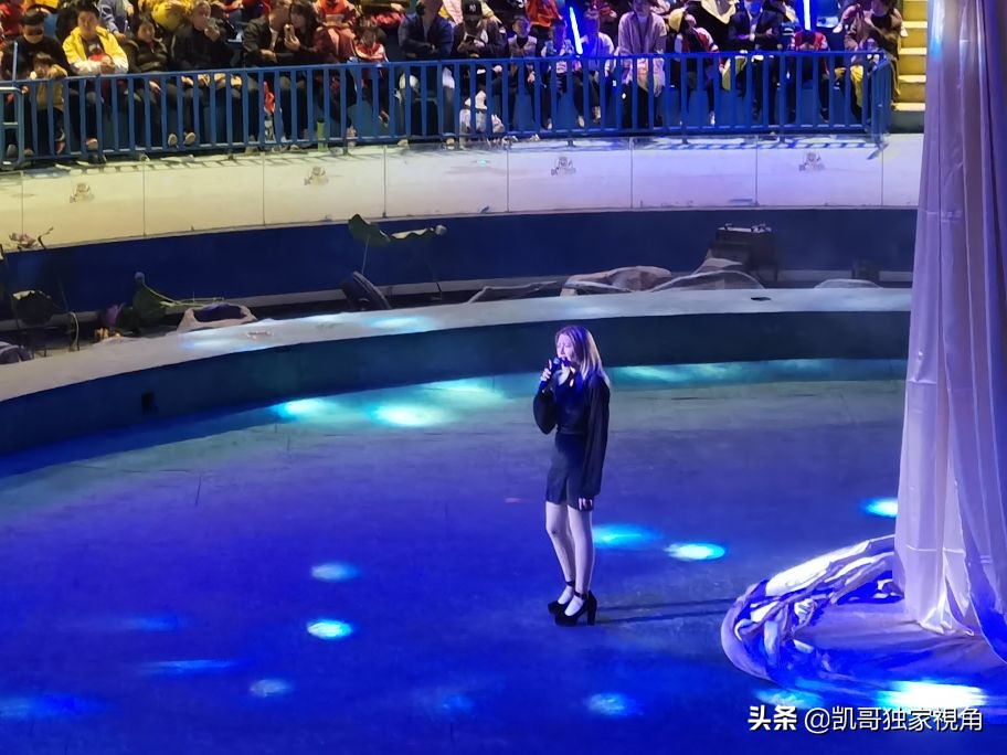 不一样的南通动物园,南通森林野生动物园和上海动物园