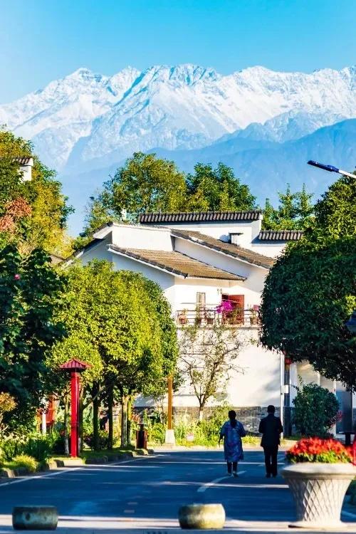 成都拍了拍你,一亿成都粉get心动讯息