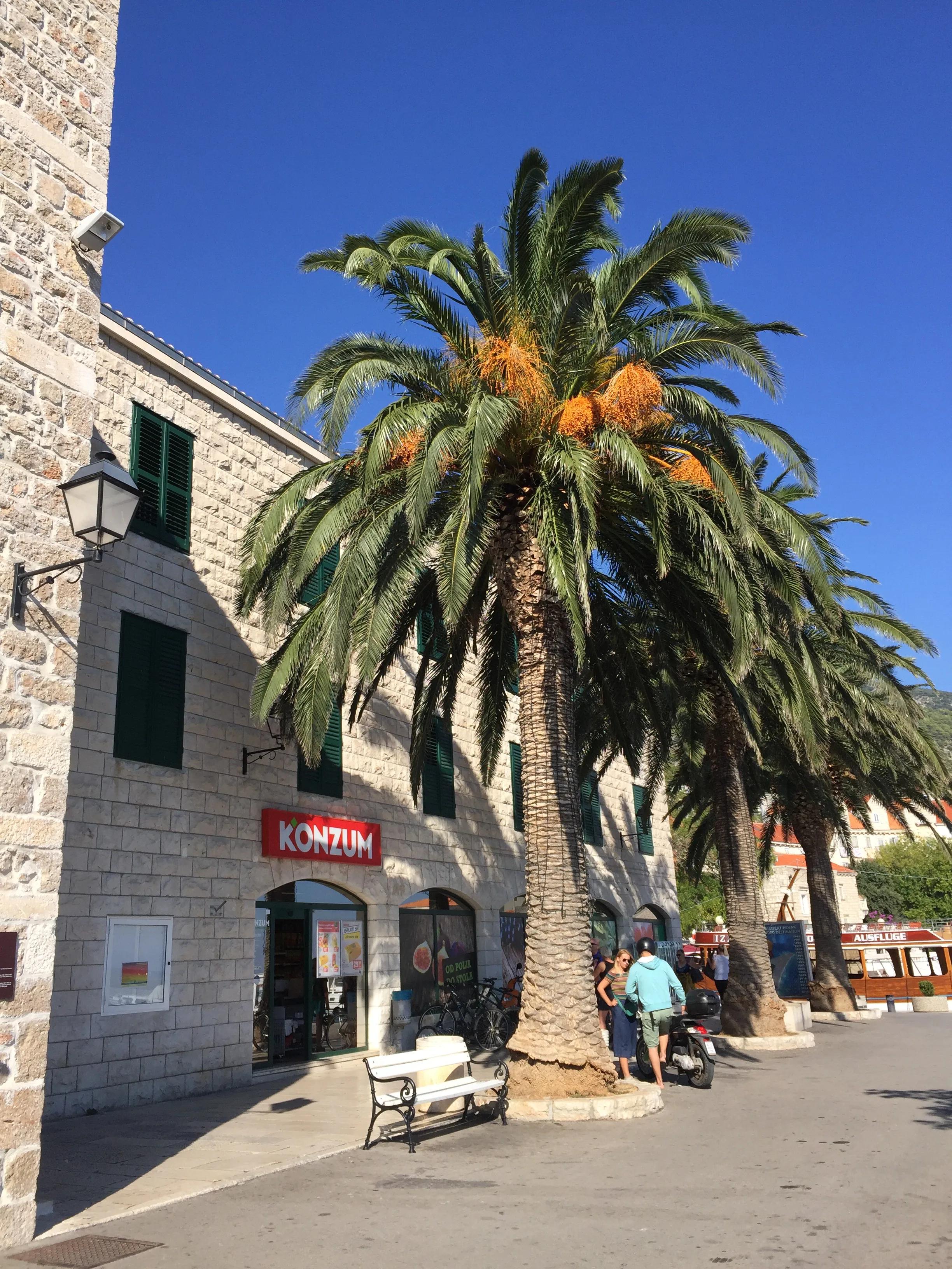 ZlatniRat@克罗地亚🇭🇷亚得里亚海北面