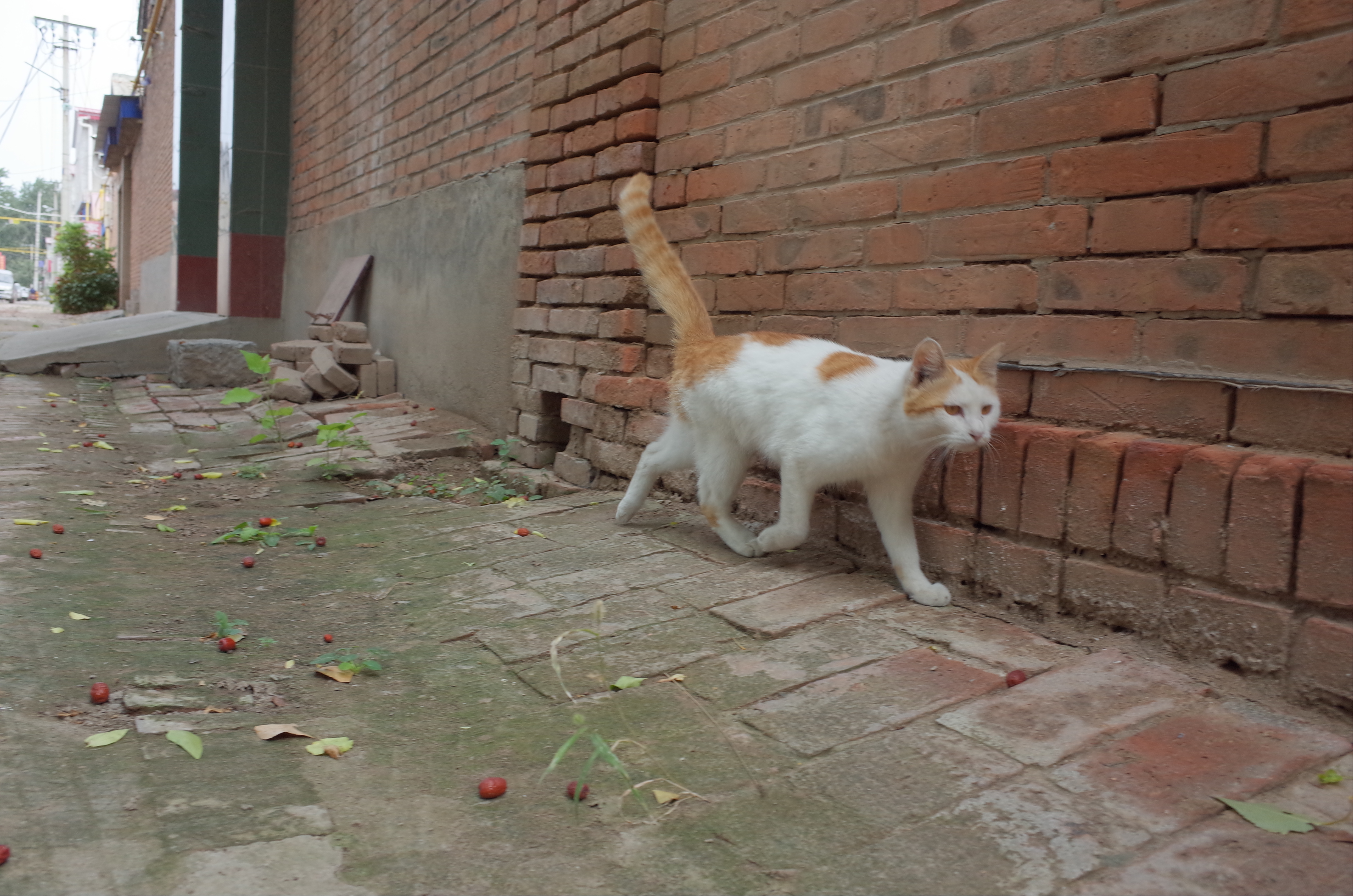 不要被器材左右，我们追求的终究还是摄影的精髓：理光GR（下）