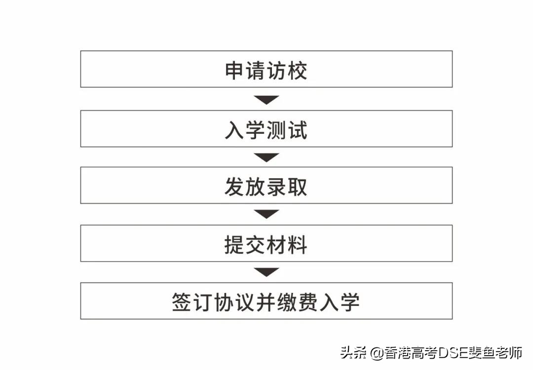 鲸帆dse国际,鲸帆dse国际学校创作人