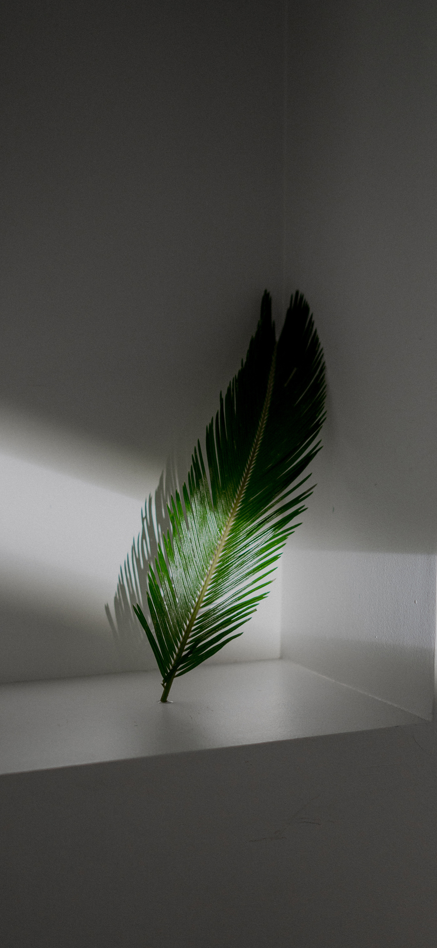 清爽壁纸高清手机壁纸,清晰到极致的手机壁纸图片