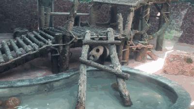 黔灵山公园熊猫馆五一节,贵阳市黔灵山公园熊猫馆开放时间