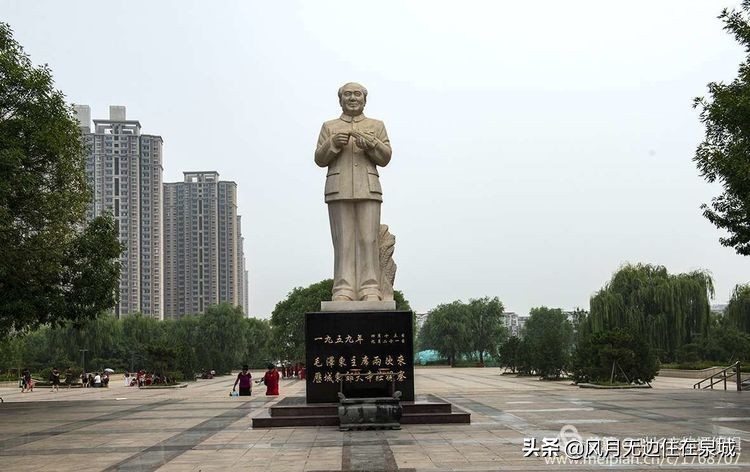 济南秋天的法国梧桐,济南一颗梧桐树