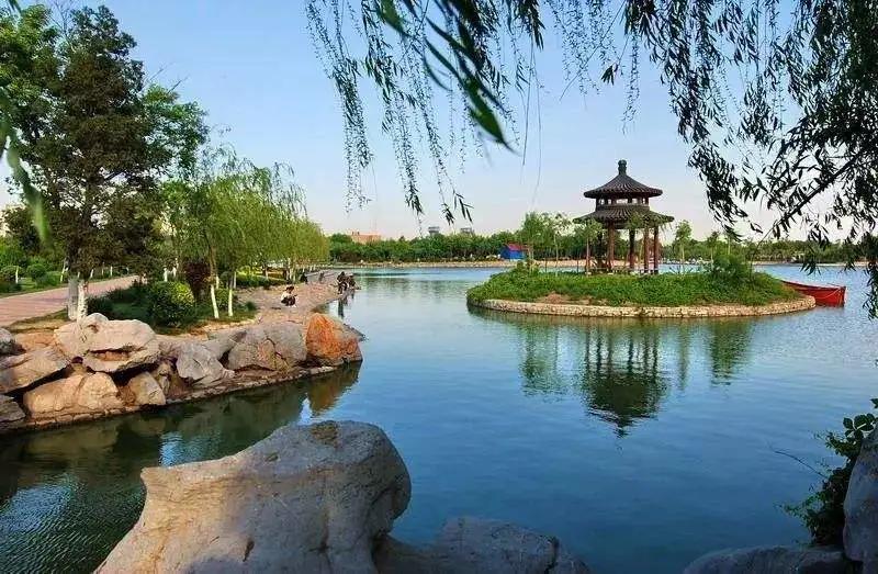 天津春暖花开西沽公园,天津开放的湿地生态公园