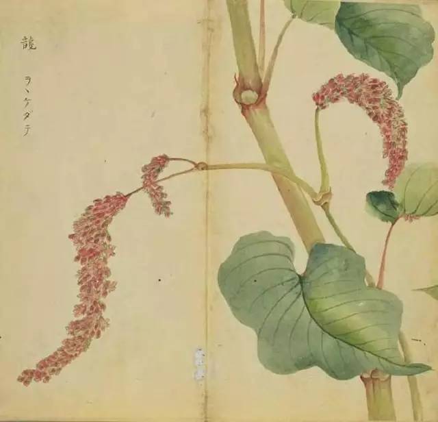 五千年来最美的20首诗,100首美到窒息的诗句