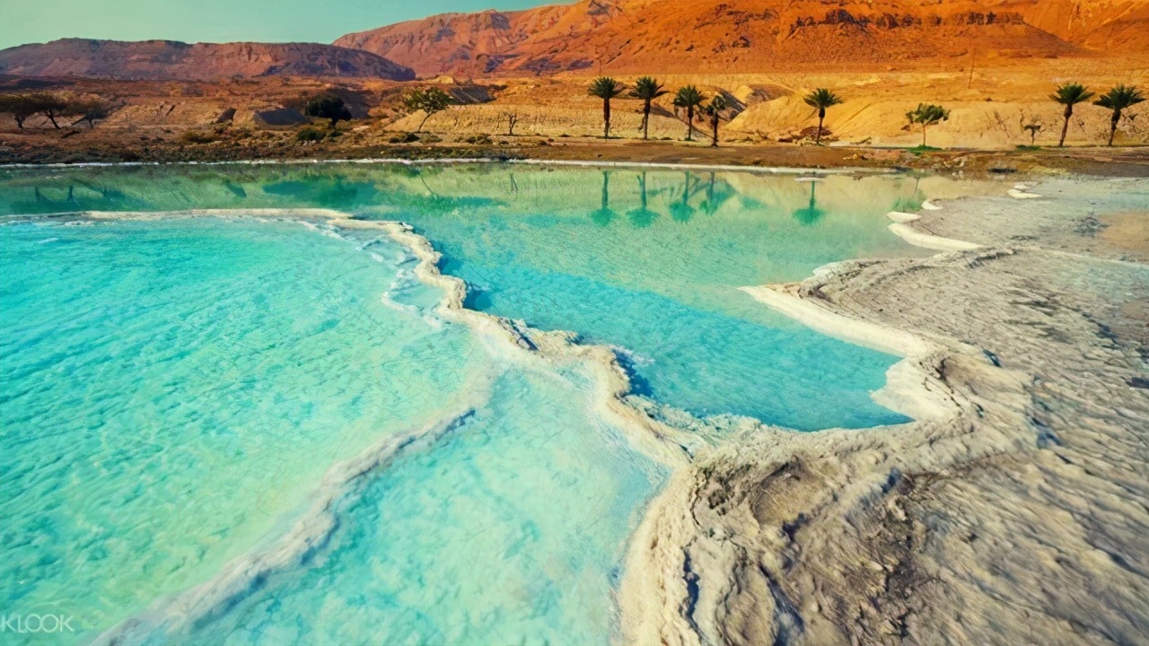 惬意“看书看报”的死海，为什么无人游泳？导游：作死就试试